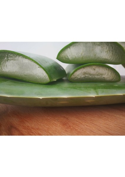 Akdeniz Aloe Vera Aloe Vera Yaprağı - Jel Için 5 Kg. Taze Yaprak