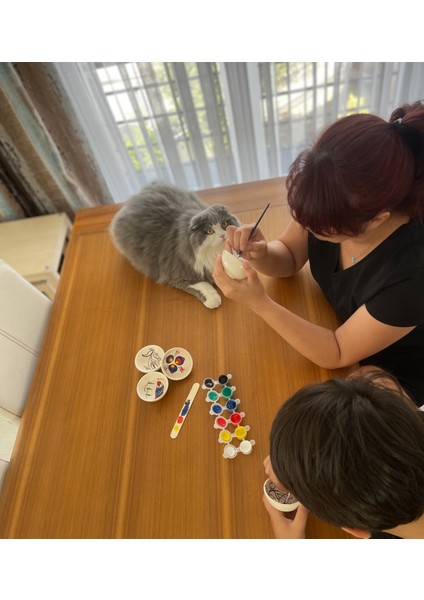 Sharp&art Çini Boyama ve Sanatsal El Işlemeleri Hobi Seti