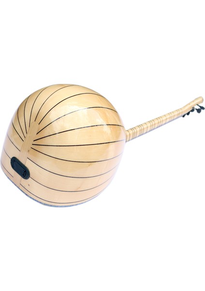 Uzun Sap Lesli Efektli Elektro Saz - Bağlama Dest-W2
