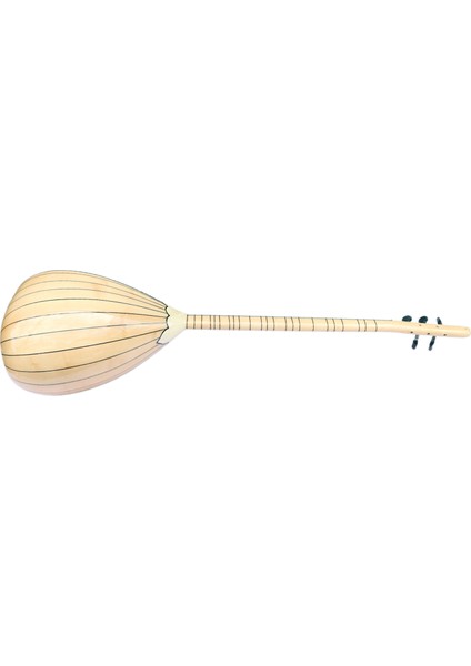 Uzun Sap Lesli Efektli Elektro Saz - Bağlama Dest-W2