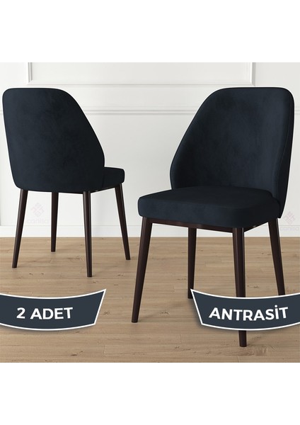 Concept Tura Serisi 2 Adet Mutfak Sandalyesi Metal Kahve Ayaklı 1. Sınıf Babyface Kumaş