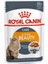 Intense Beauty Kedi Konservesi 85 Gr. 1