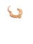 925AYAR Gümüş Tasarım Rose Tragus Halka Piercing 3