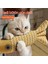 Kedi Oyuncağı Kendi Kendini Iyileştiren Keten Evcil Hayvan Oyuncağı (Yurt Dışından) 2