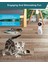 Everwin Otomatik Kedi Lazer Oyuncağı - USB Şarjlı, 5 Model (Yurt Dışından) 2