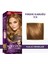 Wella Koleston Intense 7/3 Fındık Kabuğu 2