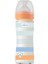 Wellbeing Yavaş Akış Mavi Cam Biberon 240 ml 0+ Ay 2