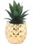 Ananas Şeklindeki Saksı Çiçek Reçine El Sanatları Dekoratif Süslemeler (Yurt Dışından) 1