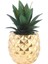 Ananas Şeklindeki Saksı Çiçek Reçine El Sanatları Dekoratif Süslemeler (Yurt Dışından) 4