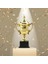 Ödül Trophy Decor Trophy Cup Props, Sınıf Yüksekliği Için Küçük Kupayı Ödüller 24 cm (Yurt Dışından) 4
