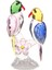 Kristal Parrot Heykel Kuşu Heykelcik Masa Merkezinde Dekor Pembe (Yurt Dışından) 2