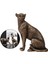Panther Heykel Süsü Heykel Heykel Fotoğrafı Oturma Odası (Yurt Dışından) 4