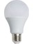 CT-4266 12 Watt LED Ampul Günışığı 1