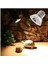 Kesoto 2 Adet 75 W Uva + Uvb Isı Yeminli Lamba Ampul Işık Isıtıcı Sürüngen Brooder Için (Yurt Dışından) 2