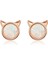 Gümüş Küper (Rose Gold) (Yurt Dışından) 1