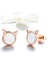 Gümüş Küper (Rose Gold) (Yurt Dışından) 3