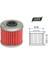 Ison ISON116 2005-2023 Honda Crf 450 x Uyumlu Yağ Filtresi 2