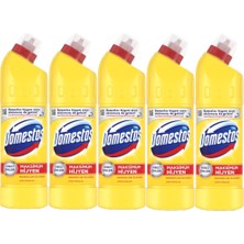 Domestos Çamaşır Suyu 750 ml Limon Ferahlığı (750 ml x 5 Adet)