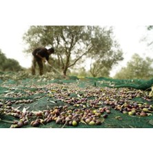 Öz Çiğdem Zeytin Toplama Filesi Sergisi 4x7