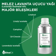 Etheloil Melez Lavanta(Lavandin) Uçucu  Yağı Etheloil  500 gr