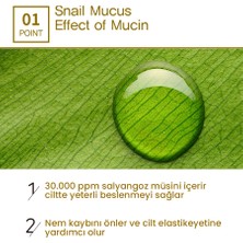 Beausta Göz Çevresi ve Yüz Için Yaşlanma Karşıtı Gold Snail Krem