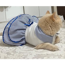 Gobo Denizci Mavi Yakalı Kurdeleli Dişi Kedi Köpek Kıyafeti Elbisesi Xlarge/xl/beden 4