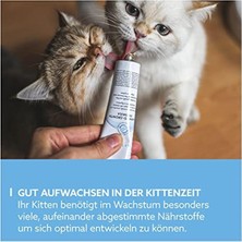 Gimcat Kedi Macunu Kitten Paste 50 gr