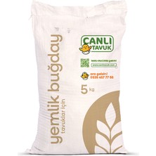 Canlı Tavuk Yemlik Buğday 5 kg