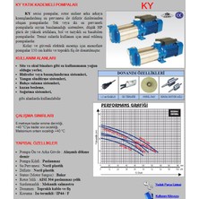 Al-Mak Bestpump 3.5 HP-380V-9 Kademeli Yatay Milli Santrifüj Su Pompa