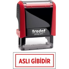Trodat Öğretmen Kaşesi Aslı Gibidir