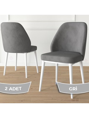 Canisa Concept Tura serisi 2 adet mutfak sandalyesi metal beyaz ayaklı   babyface kumaş