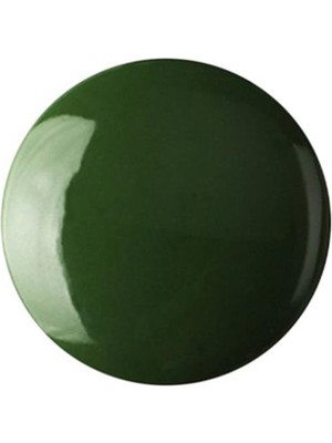 Refsan Hazır Çini ve Seramik Boyası 803 Haki Yeşil 200 ml