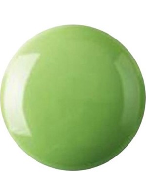 Refsan Hazır Çini ve Seramik Boyası 6203 Filiz Yeşili 40 ml