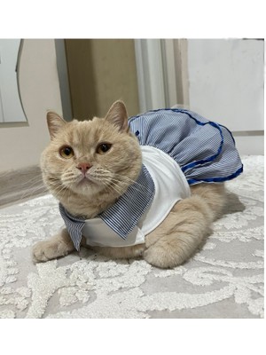 Gobo Denizci Mavi Yakalı Kurdeleli Dişi Kedi Köpek Kıyafeti Elbisesi Xlarge/xl/beden 4