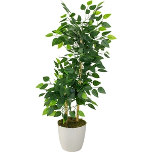 Güleç Yapay Çiçek Yapay Benjamin Ağacı Bambu Gövdeli 100 cm