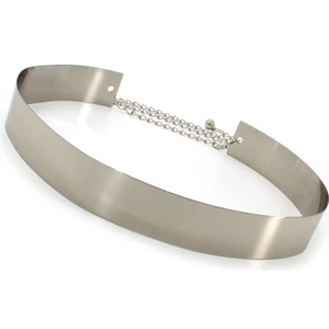 Bonanza Int Kadınlar Için Moda Ayarlanabilir Metal Bling Plaka Geniş Kemer (Yurt Dışından)