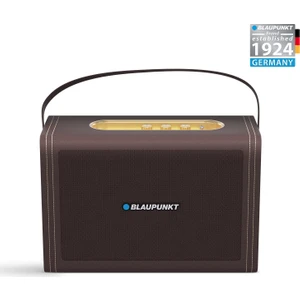 LS700 Kablosuz Bluetooth 60W Hoparlör Kahverengi