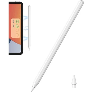 Duhalıne iPad Mini 6 8.3" (2021) Stylu Uyumlu Dokunmatik Çizim Kalemi Manyetik Şarj Eğim ve Avuç Içi Algılama