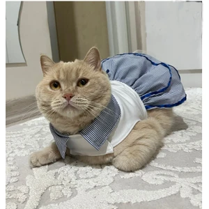 Denizci Mavi Yakalı Kurdeleli Dişi Kedi Köpek Kıyafeti Elbisesi Xlarge/xl/beden 4