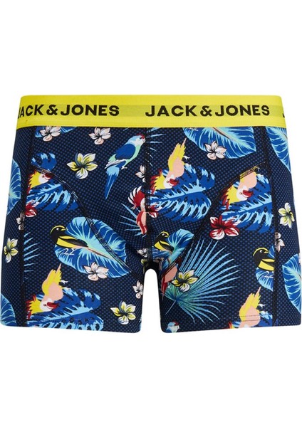 Jacflower Bırd Trunk Mavi Erkek Boxer