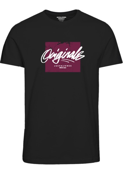 Siyah Erkek T-Shirt
