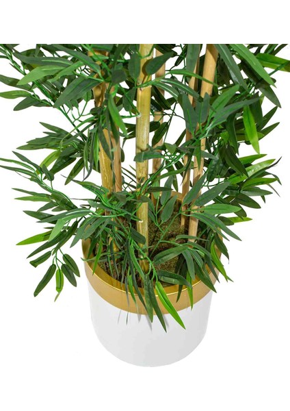 Yapay Bambu Ağacı 185 cm Beyaz Gold Metal Saksı modelleri