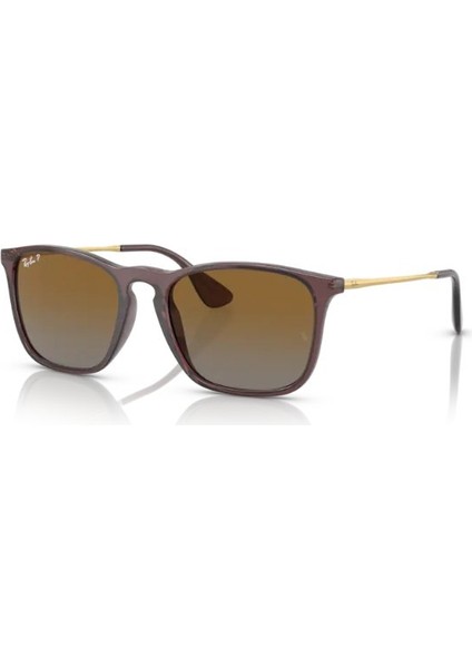 Rayban RB4187 6593/T5 54 Güneş Gözlüğü