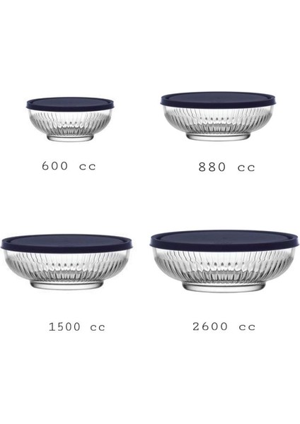 Nemostore Tokyo Saklama Kabı 4 Lü Lacivert