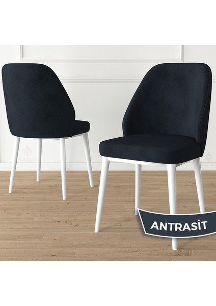 Concept Tura serisi 2 adet mutfak sandalyesi metal beyaz ayaklı babyface kumaş fiyatları