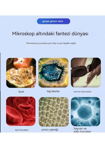 Çocuklar Için Portatif Mikroskop Oyuncak Dış Mekan Tabanlı El Tipi (Yurt Dışından)