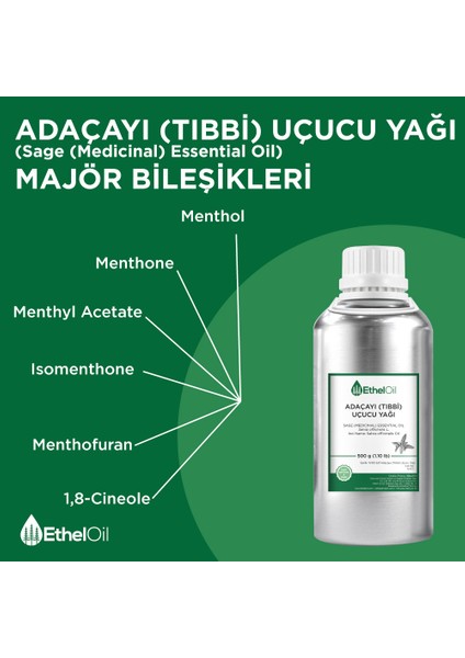 Adaçayı (Tıbbi) Uçucu Yağı - Etheloil - 500 gr - ve Uçucu Yağ - Üretici Firma, , Toptan Satış - Sage (Medicinal) Essential Oil - Salvia Officinalis L