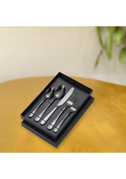 5x Paslanmaz Sofra Takımı Sofra Piknik Çatal Bıçak Takımı Yemek Eşyaları Siyah (Yurt Dışından) fırsatları