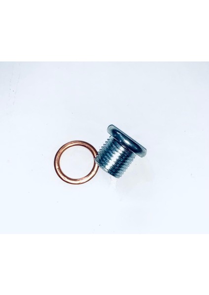Parçabul Tapa Yağ Nissan Tüm Modeller Için 11128-00Q0B