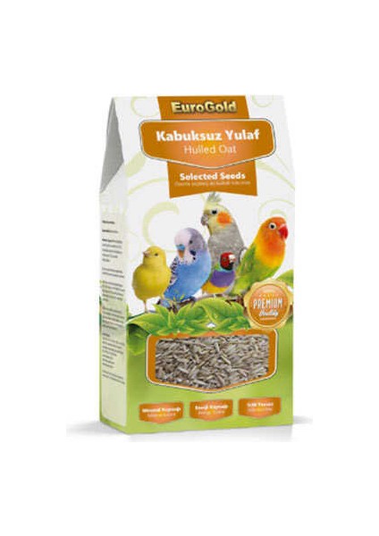 Yulaf Tohumu 300 gr fiyatları